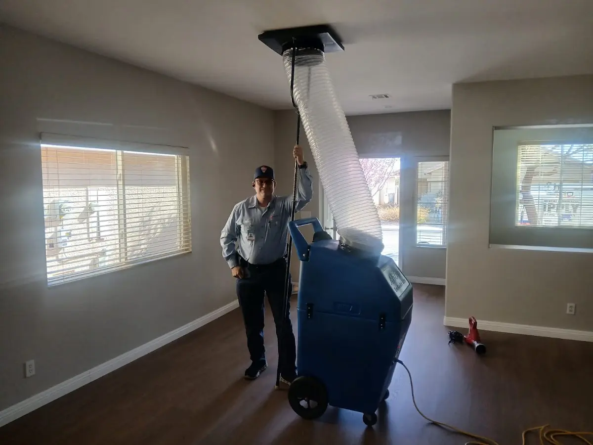 Professional Dryer Vent Cleaning work inside a Scarborough home